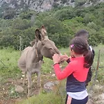 Meduse קאלה גונונה