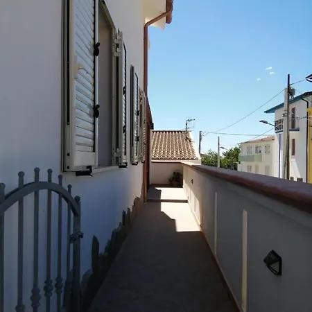 Meduse * كالا غونوني