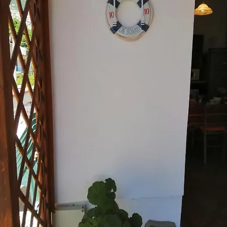 Meduse كالا غونوني