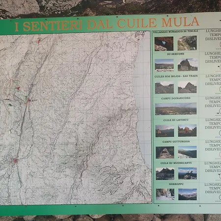 Meduse Apartment Cala Gonone